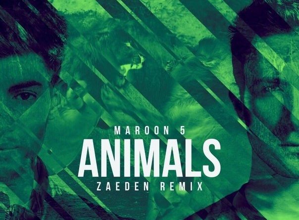 J.Fla - Animals