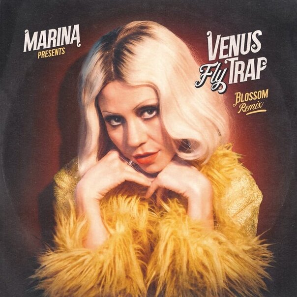 MARINA - Venus Fly Trap