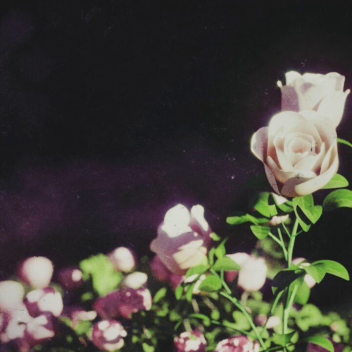 Before You Exit - Looking Glass