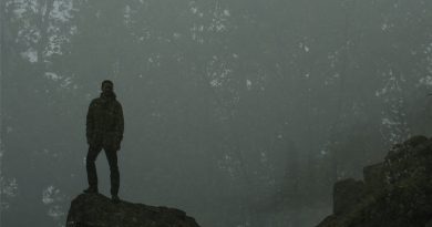 S. Carey - Crown The Pines