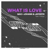 Max & Johann & Jayddyn & Indiigo - What Is Love