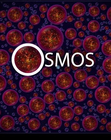 OSMOS - УЖЕ ПОЗДНО