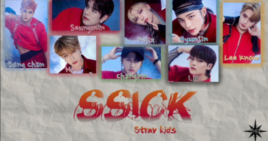 Stray Kids - SSICK