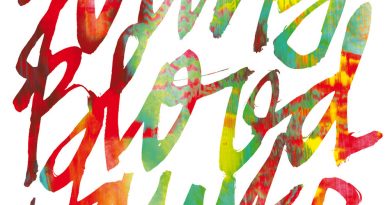 Youngblood Hawke, The Knocks - We Come Running