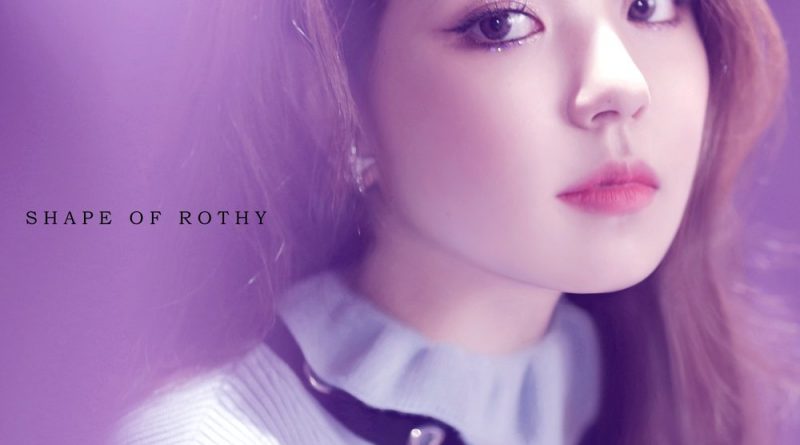 Rothy - Shape of Rothy