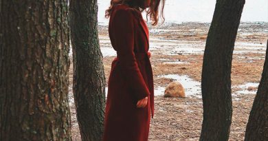 Sofi Lapina - Wonderful Machinery