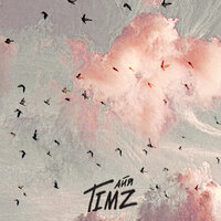 TIMZ - Айя