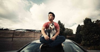David Choi - This and That Is Life