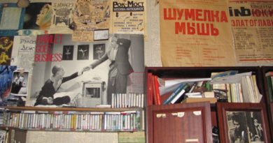 Соломенные еноты - Геральдический лев