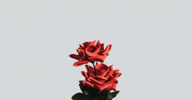 The Tech Thieves - Flowers