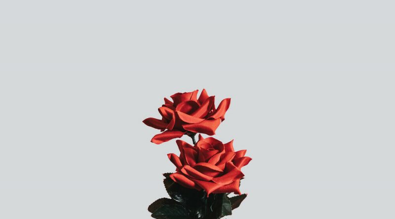 The Tech Thieves - Flowers