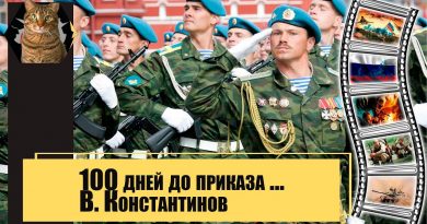 Вячеслав Константинов - Сто дней до приказа