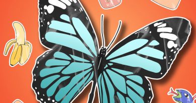 Baker Boy - Butterflies