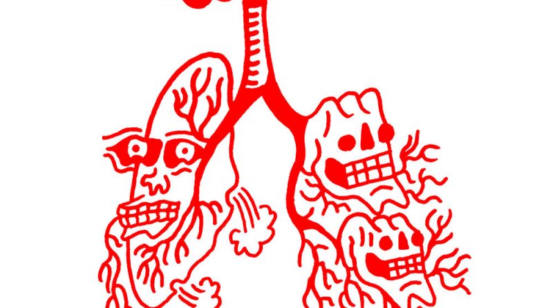 Wavves - The Lung