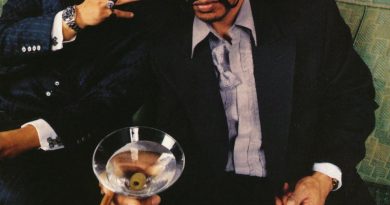 Handsome Boy Modeling School - The Projects (PJays)