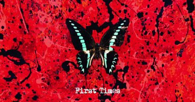 Ed Sheeran - First Times