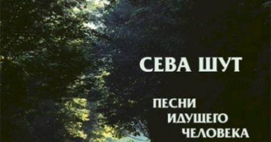 Сева Шут - Крик