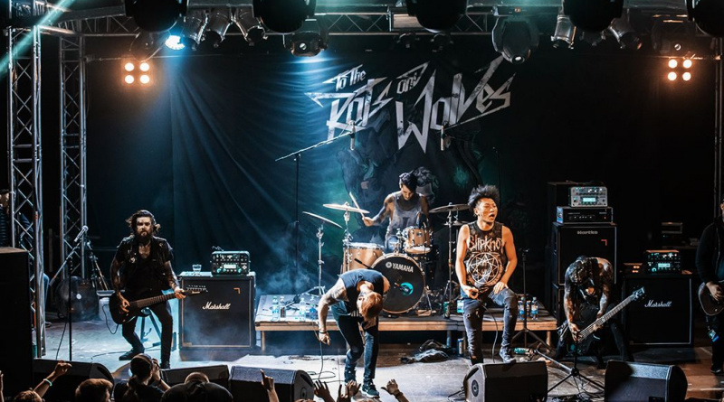 To the Rats and Wolves - dethroned