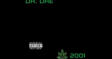 Dr. Dre, Eminem, Xzibit - What's The Difference