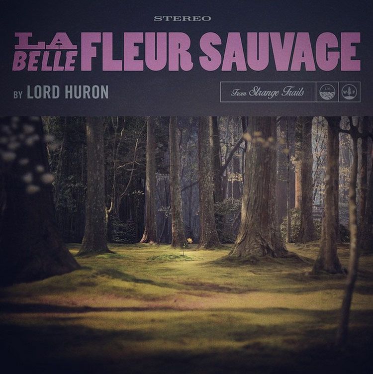 Lord Huron - La Belle Fleur Sauvage