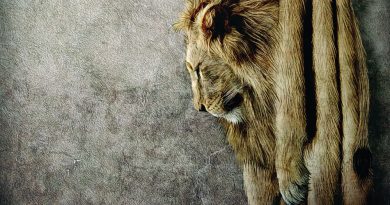 Saviour - Homecoming