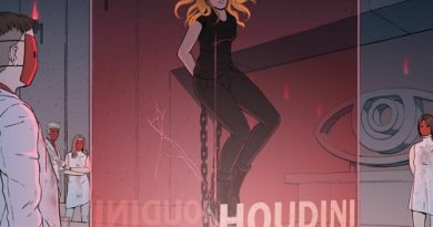 AViVA - HOUDINI