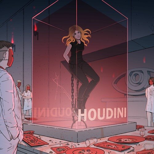 AViVA - HOUDINI