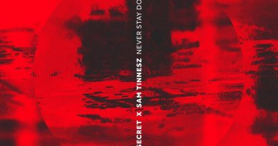 UNSECRET, Sam Tinnesz - Never Stay Down