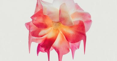 UNSECRET, Sam Tinnesz, Ivory Layne - Perfect Love