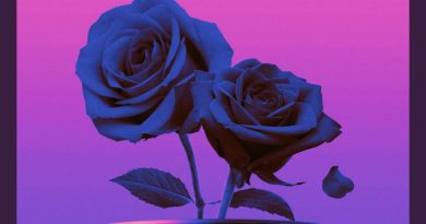 Omri - Dis\Honest