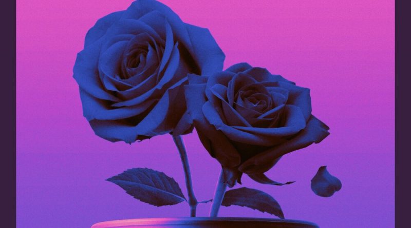 Omri - Dis\Honest