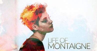 Montaigne - I'm a Fantastic Wreck