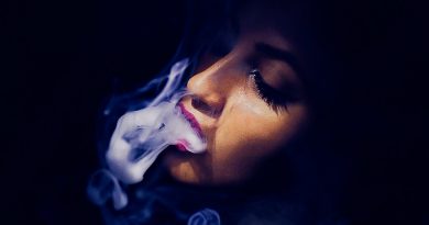Seewoow, Gambit 13 — Затуманила