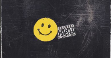 Lemonade Mauser — Not Sleep