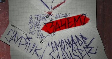 saypink!, Lemonade Mauser — Зачем?