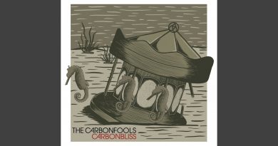 The Carbonfools - Mountains