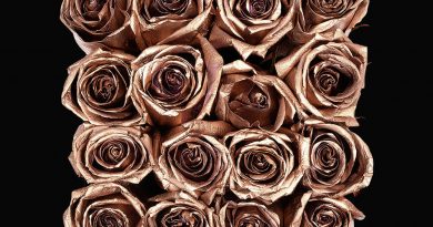 Headie One - Rose Gold