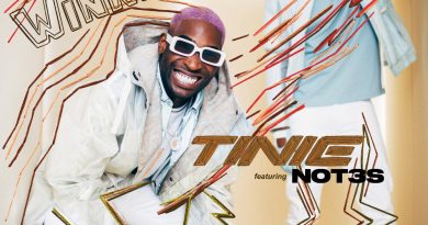 Tinie Tempah, Not3s - Top Winners