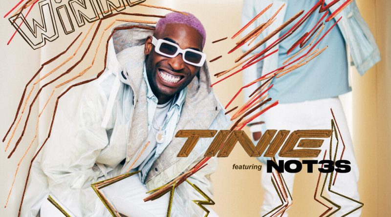 Tinie Tempah, Not3s - Top Winners