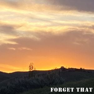 futhills ft. sewerperson - forget that