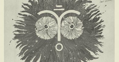 The Shins - No Way Down