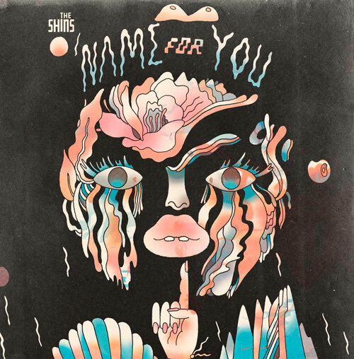 The Shins - Name For You