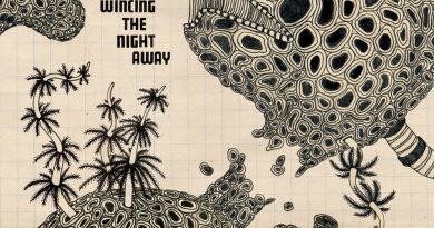 The Shins - Sea Legs