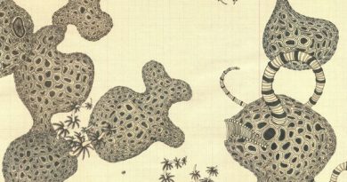 The Shins - A Comet Appears