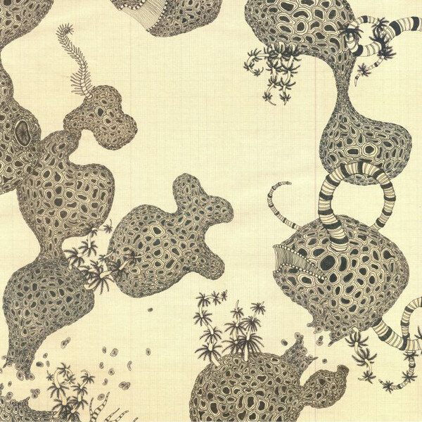 The Shins - A Comet Appears