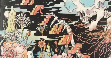 The Shins - Half a Million