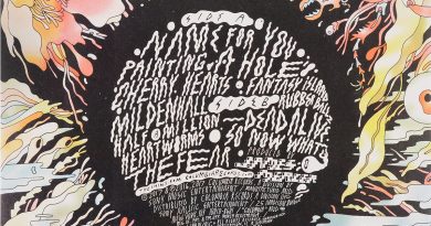 The Shins - Painting A Hole