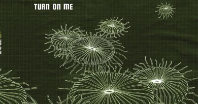 The Shins - Turn On Me