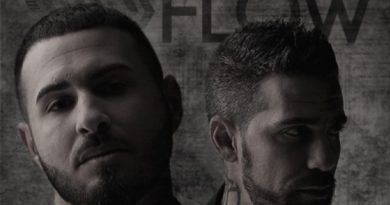 Bushido, Shindy - Panamera Flow