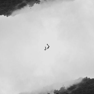 From the Crowd ft. Days to waste, sewerperson & ghostsocial - Astral